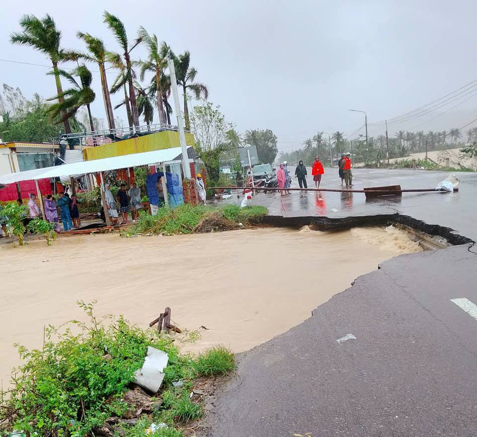 3467182249968842213 (1)